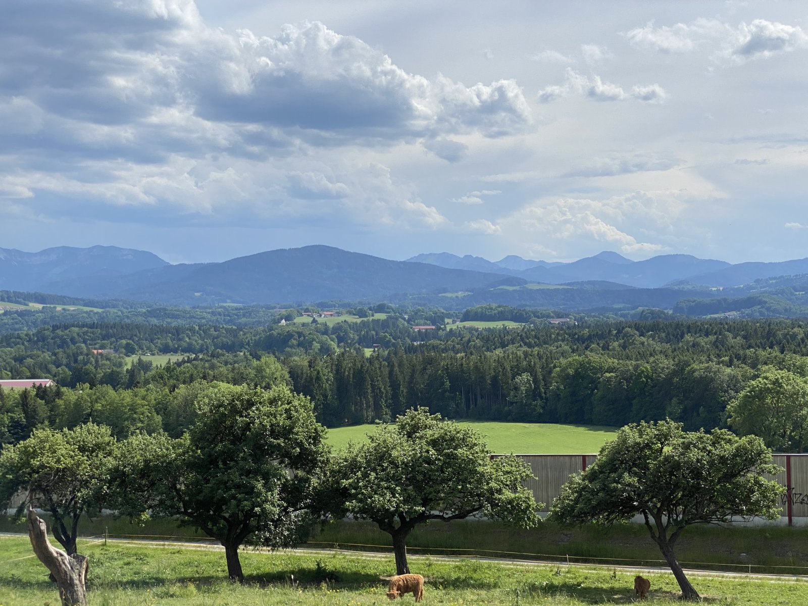 Naherholung in den Alpen